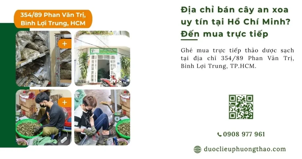 Địa chỉ bán cây an xoa ở đâu TPHCM uy tín, có hàng sẵn và giao tận nhà?