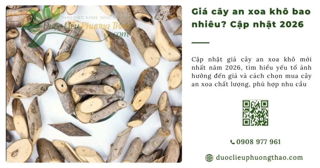 Giá cây an xoa khô bao nhiêu? Bảng giá chuẩn và nơi mua uy tín