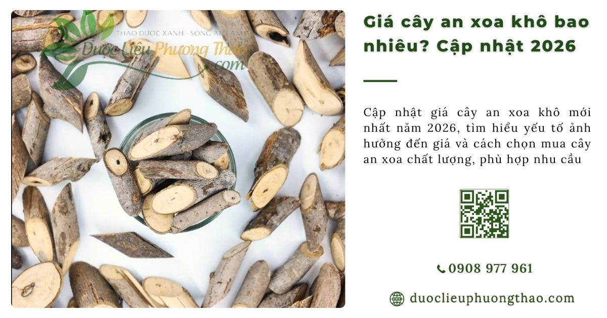 giá cây an xoa khô