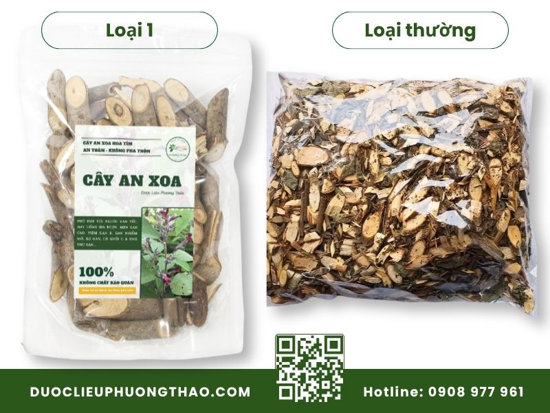 Giá cây an xoa khô bao nhiêu? Bảng giá chuẩn và nơi mua uy tín giá cây an xoa khô