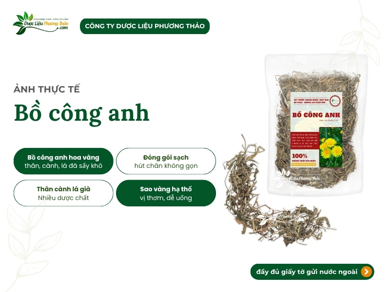 Bồ công anh khô chuẩn sạch, hỗ trợ thanh nhiệt, u bướu