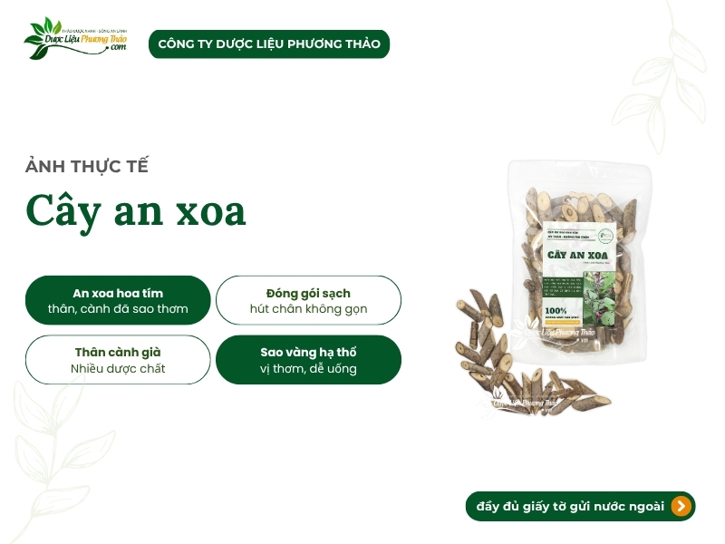 Cây an xoa (tổ kén cái, dó lông, thâu kén lông) hình ảnh cây an xoa khô