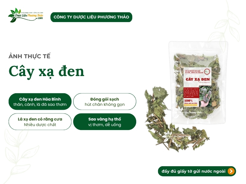 Quy cách đóng gói và đặc điểm nhận biết cây xạ đen sạch