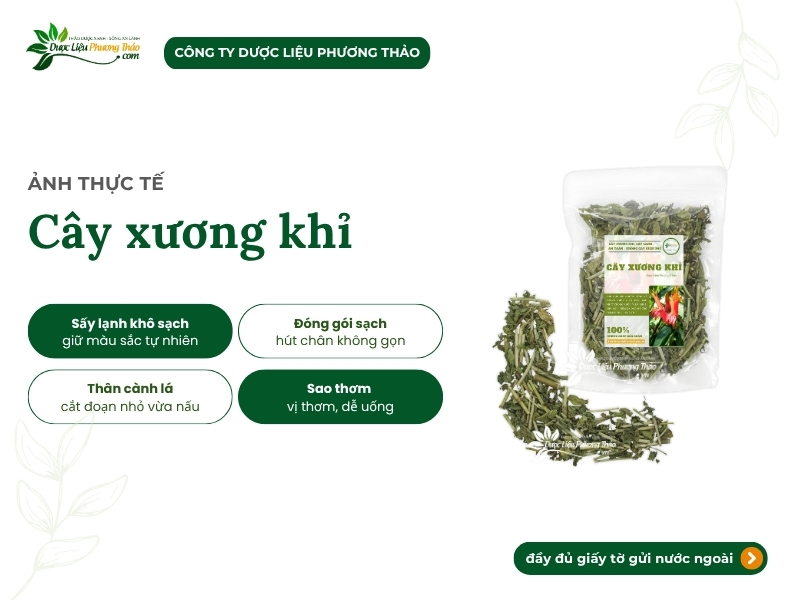 Cây xương khỉ khô sạch, hỗ trợ xương khớp