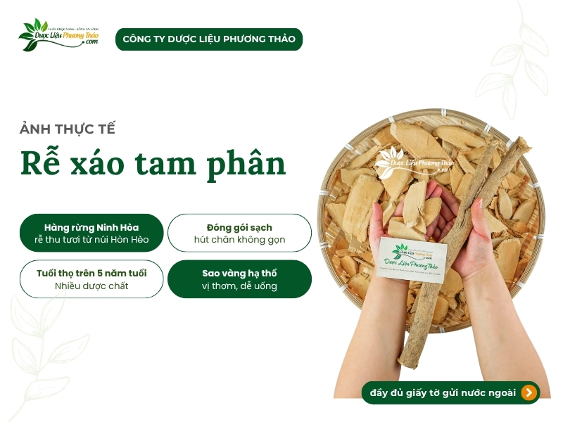 Xáo tam phân nguyên rễ sơ chế sạch, hỗ trợ u bướu.