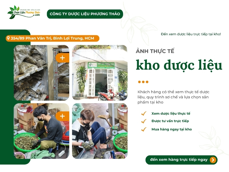Không gian kho cây xương khỉ sạch tại TPHCM
