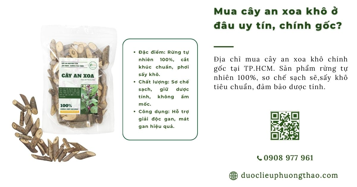 mua cây an xoa khô ở đâu