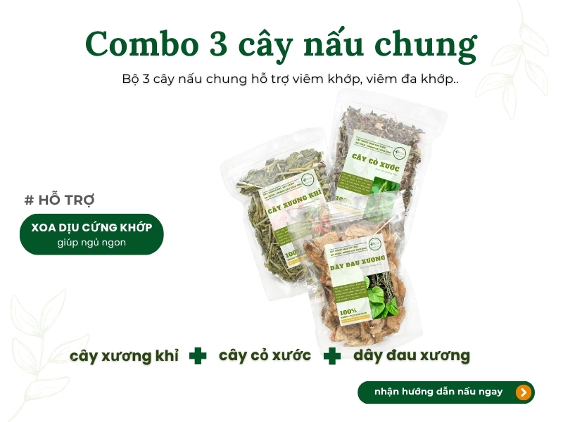 Combo 3 loại thảo dược hỗ trợ xương khớp