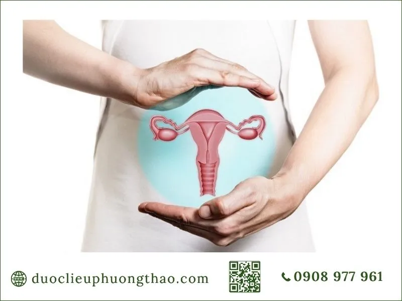 U buồng trứng là gì? Dấu hiệu, nguyên nhân và hướng xử trí phù hợp Chủ động nâng niu, bảo vệ sức khỏe buồng trứng là đang bảo vệ sức khỏe hệ sinh sản nữ giới