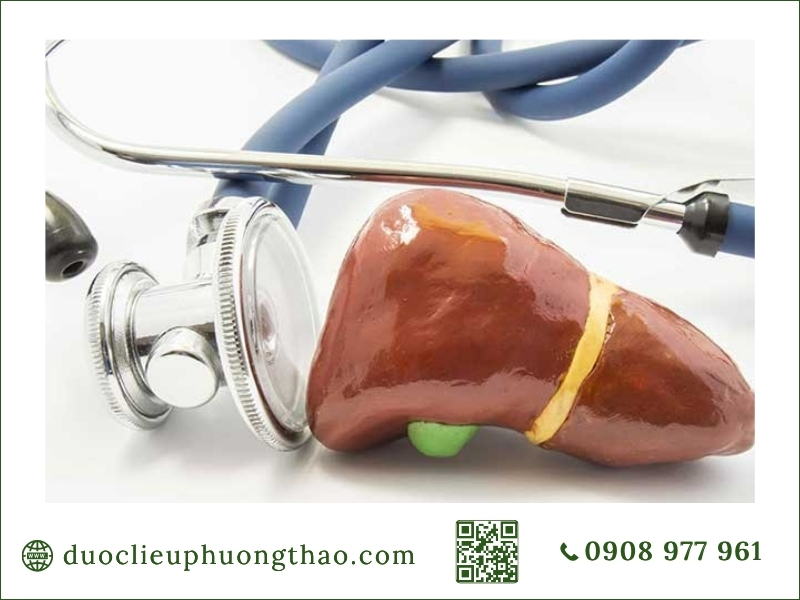 Kiểm tra và tầm soát định kỳ giúp theo dõi sức khỏe gan hiệu quả.