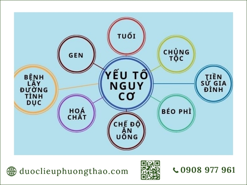 Ung thư tuyết tiền liệt là gì? Nguyên nhân, triệu chứng và cách kiểm soát an toàn cho nam giới tổng hợp các yếu tố nguy cơ ung thư tuyến tiền liệt