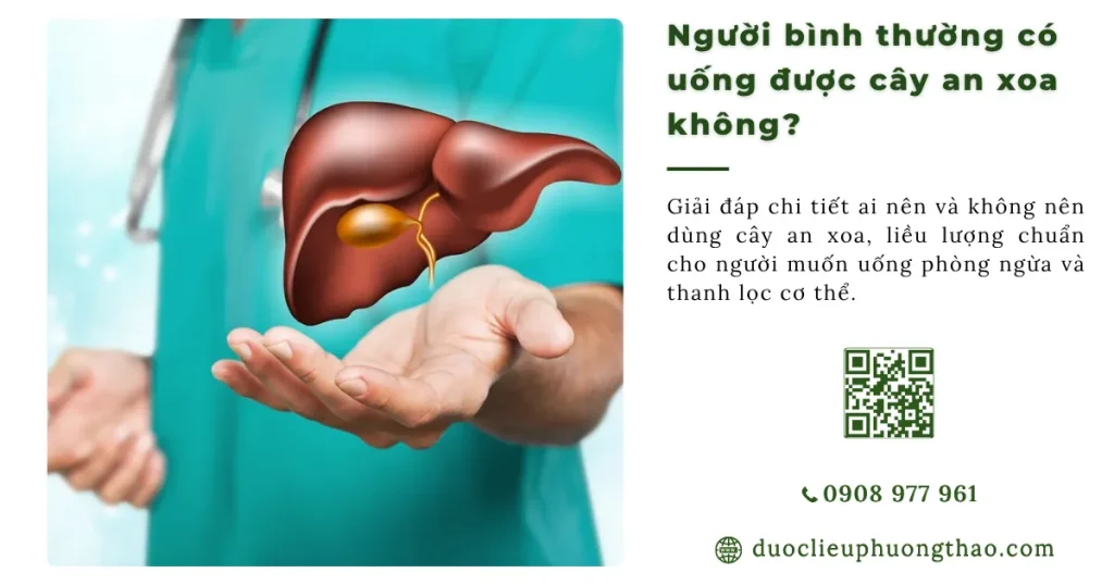 Người bình thường có uống được cây an xoa không? Cách dùng và lưu ý an toàn