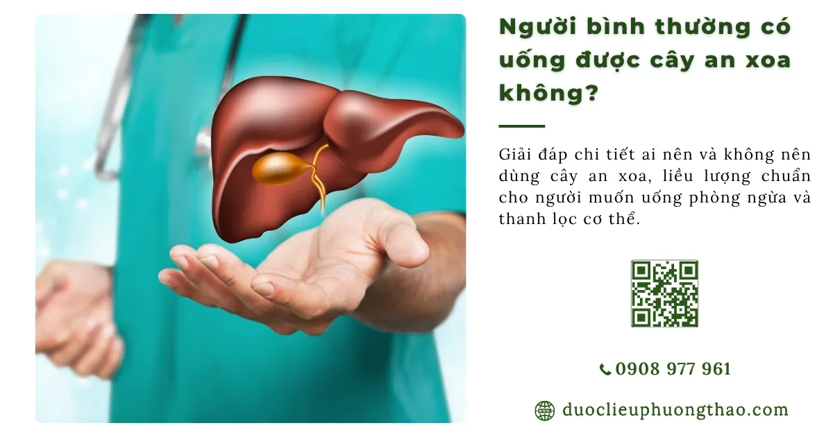 người bình thường có uống được cây an xoa không