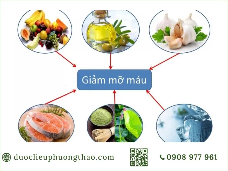 Sơ đồ tổng hợp các thực phẩm và thói quen giúp hỗ trợ giảm mỡ máu tự nhiên.