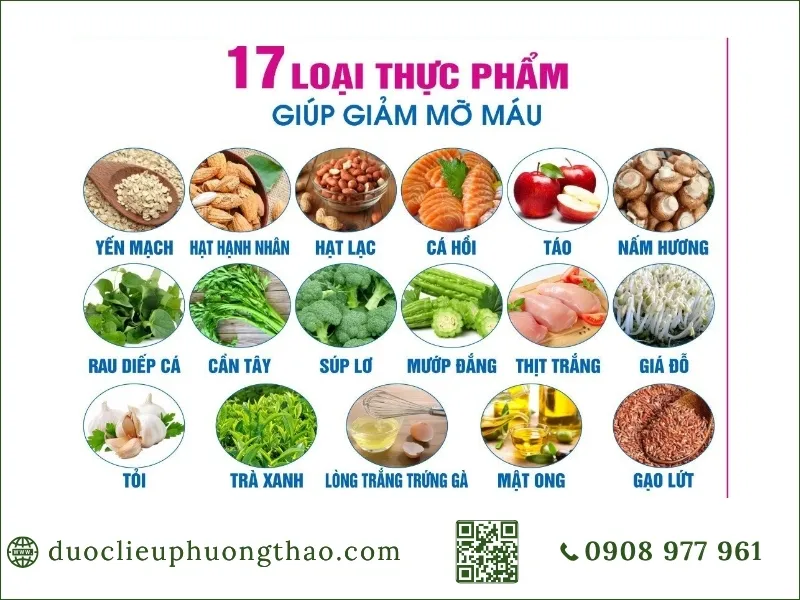 Rối loạn chuyển hóa lipid máu là gì? Nguyên nhân, triệu chứng và cách kiểm soát hiệu quả Danh sách 17 loại thực phẩm hỗ trợ giảm mỡ máu hiệu quả