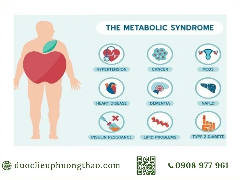 Rối loạn chuyển hóa lipid máu là gì? Nguyên nhân, triệu chứng và cách kiểm soát hiệu quả Sơ đồ các nguy cơ và bệnh lý do hội chứng chuyển hóa gây ra