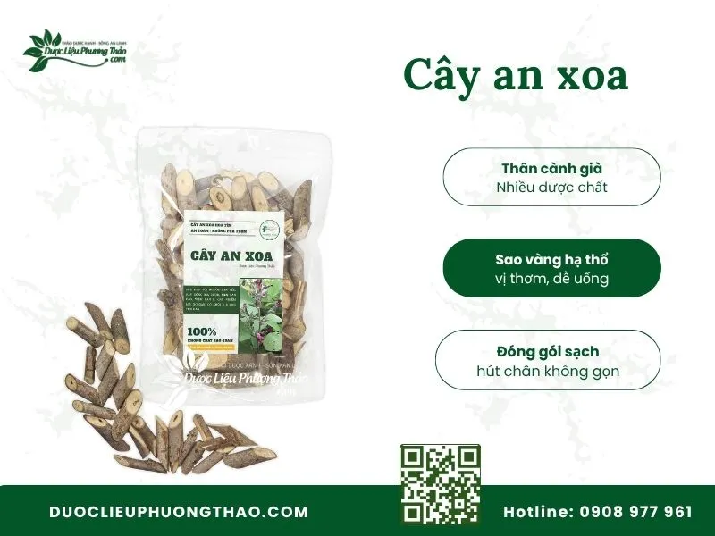 Hình ảnh cây an xoa chữa bệnh gan chuẩn, đóng gói sạch