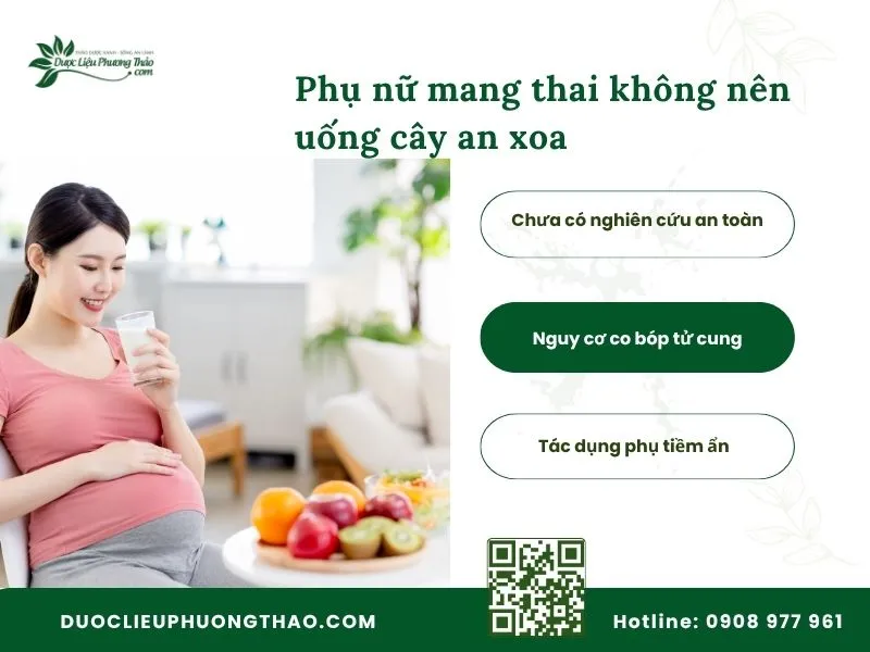 bà bầu có uống được cây an xoa không