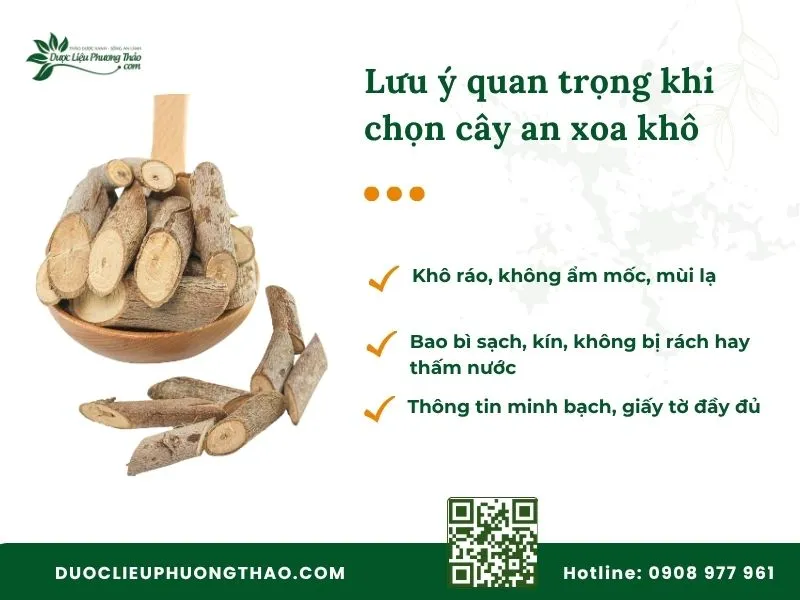 Bán cây an xoa khô ở đâu sạch, chính gốc và giá tốt nhất? Tiêu chí kiểm tra chất lượng khi mua cây an xoa khô