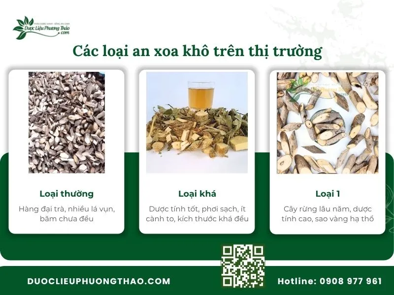 Bán cây an xoa khô ở đâu sạch, chính gốc và giá tốt nhất? Phân loại các loại cây an xoa khô phổ biến trên thị trường hiện nay
