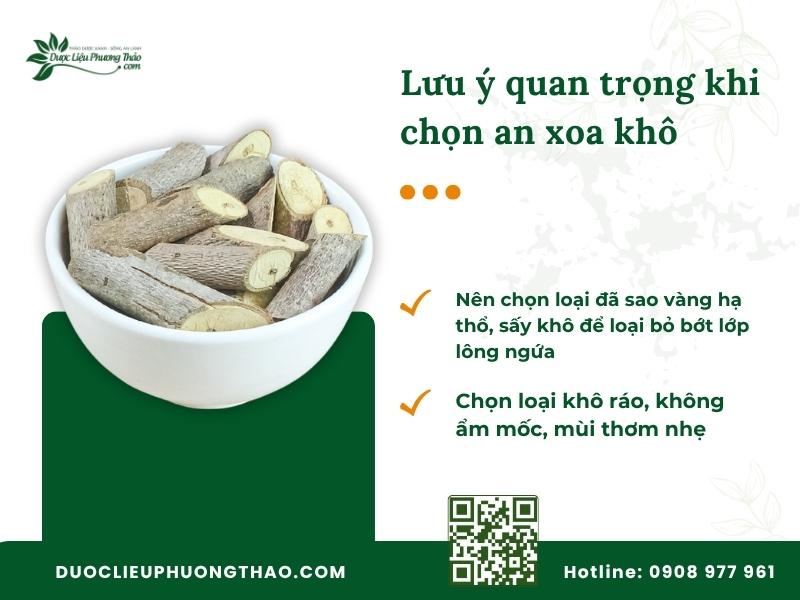 Lưu ý chọn cây an xoa khô khi dùng