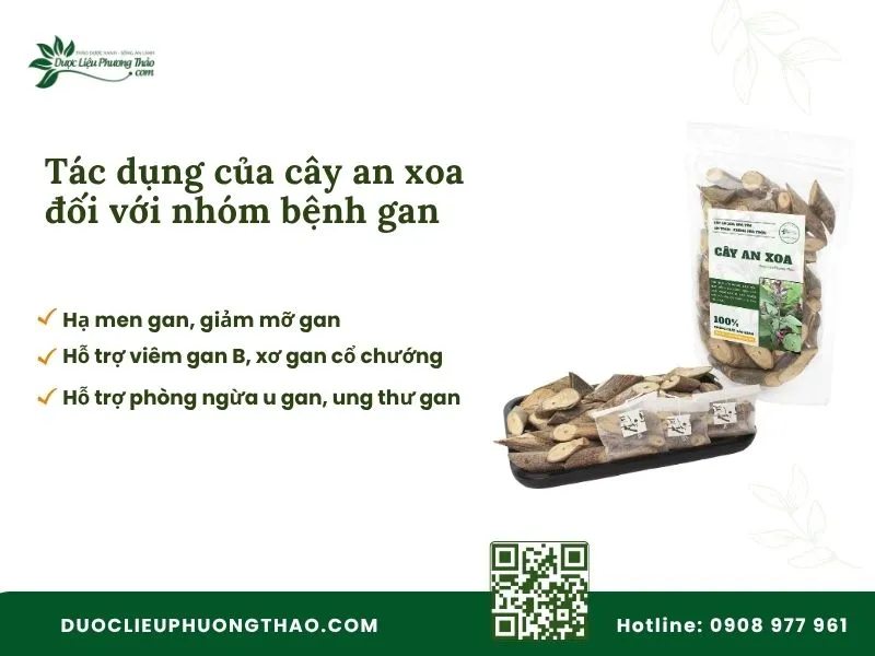 Tác dụng của cây an xoa đối với nhóm bệnh gan