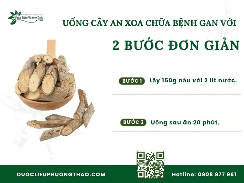 Cây an xoa chữa được bệnh gì? Tổng hợp 5 công dụng tuyệt vời từ kinh nghiệm dân gian Cách nấu nước uống cây an xoa hỗ trợ bệnh gan đơn giản tại nhà.