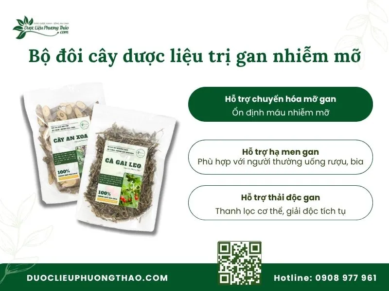 Bộ đôi dược liệu hỗ trợ giảm mỡ gan tại Dược Liệu Phương Thảo