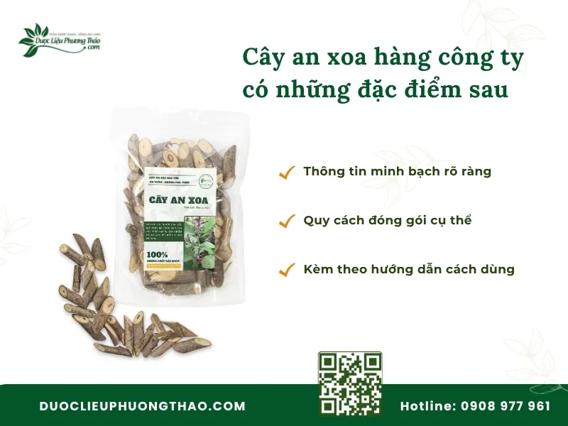 Cây an xoa hàng công ty là gì? 5 Tiêu chí nhận biết trước khi mua Cây an xoa hàng công ty chất lượng uy tín tại TPHCM