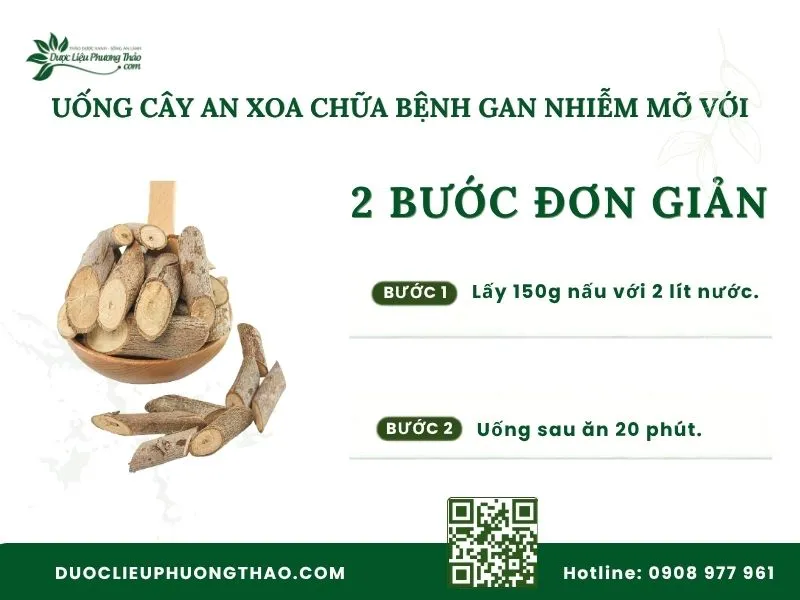 Uống cây an xoa chữa bệnh gan nhiễm mỡ đơn giản tại nhà