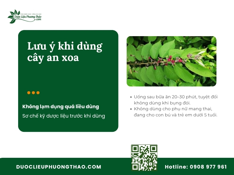 Những lưu ý khi dùng cây an xoa