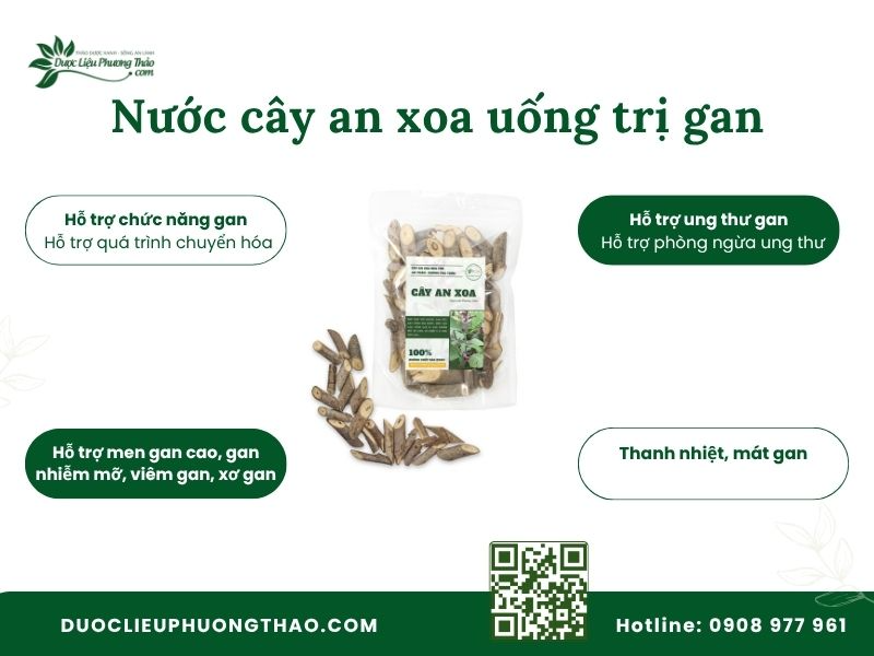 Cây an xoa nấu nước uống trị bệnh gì