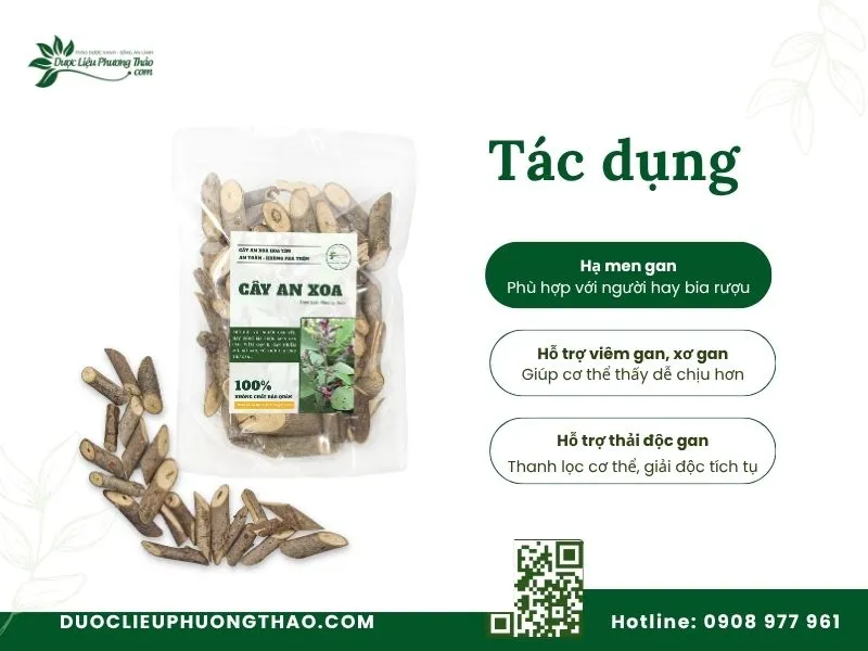 Các tác dụng hỗ trợ bảo vệ gan của cây an xoa