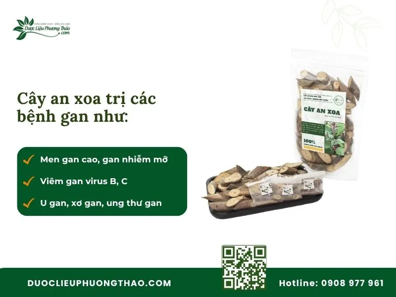 Các bệnh lý về gan được hỗ trợ điều trị bằng cây an xoa