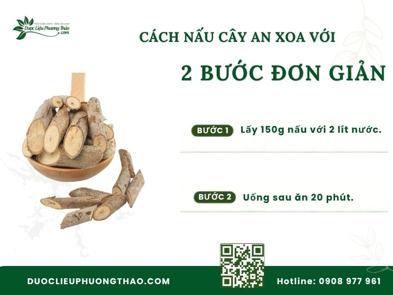 Cách sắc nước cây an xoa đúng cách cho người men gan cao