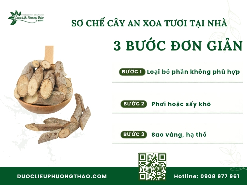 Sơ chế cây an xoa đúng cách