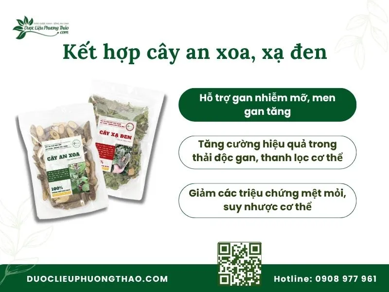 Công dụng kết hợp cây an xoa và xạ đen