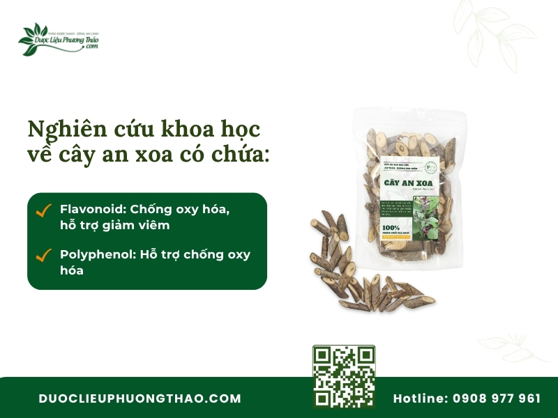 Cây an xoa điều trị bệnh gì? Có dứt điểm được bệnh gan không? Hoạt chất flavonoid và polyphenol trong cây an xoa hỗ trợ gan