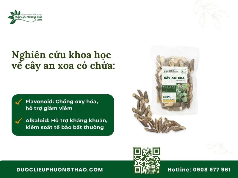 Nghiên cứu khoa học về các hoạt tính trong cây an xoa