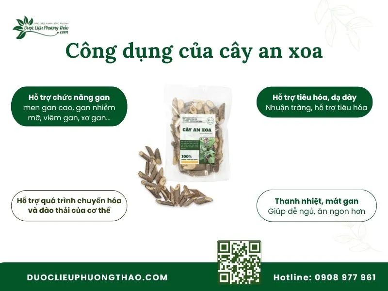 Tổng hợp các công dụng nổi bật của cây an xoa