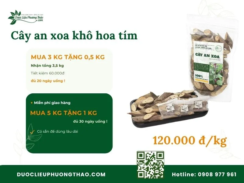 Địa chỉ bán cây an xoa ở đâu TPHCM uy tín, có hàng sẵn và giao tận nhà? Cây an xoa khô hoa tím giá 120.000/kg tại TP.HCM