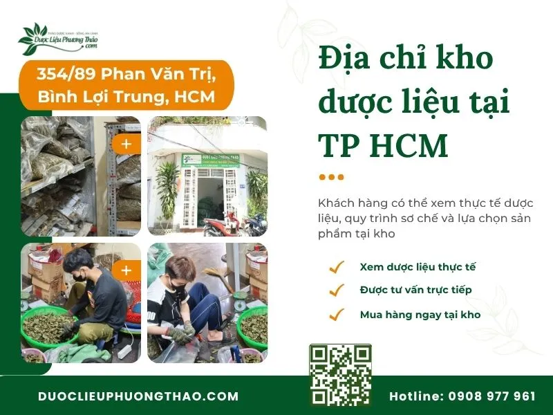 Địa chỉ bán cây an xoa ở đâu TPHCM uy tín, có hàng sẵn và giao tận nhà? Kho dược liệu Phương Thảo tại TP.HCM