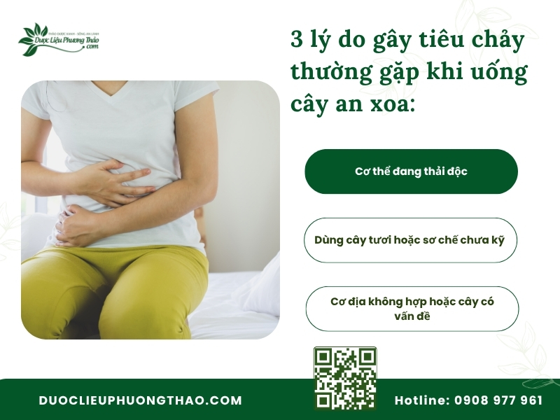 Tổng hợp 3 nguyên nhân phổ biến khi uống cây an xoa bị tiêu chảy