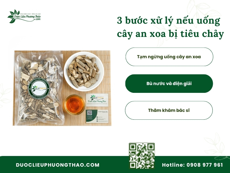 3 bước xử lý nhanh khi uống cây an xoa bị tiêu chảy