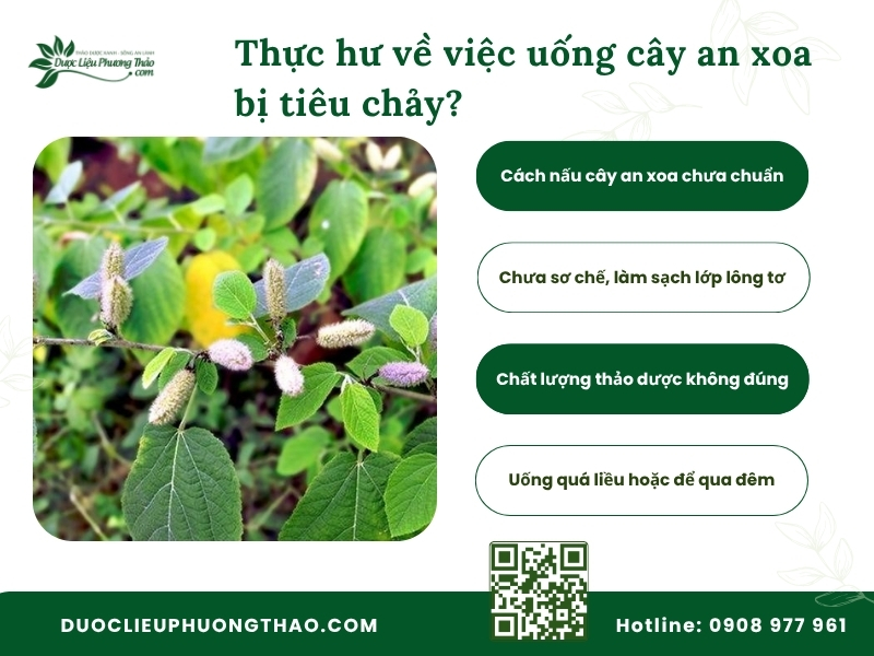 Tổng hợp nguyên nhân uống cây an xoa bị tiêu chảy