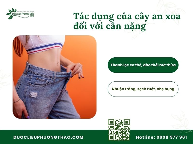 Dược liệu phổ biến
