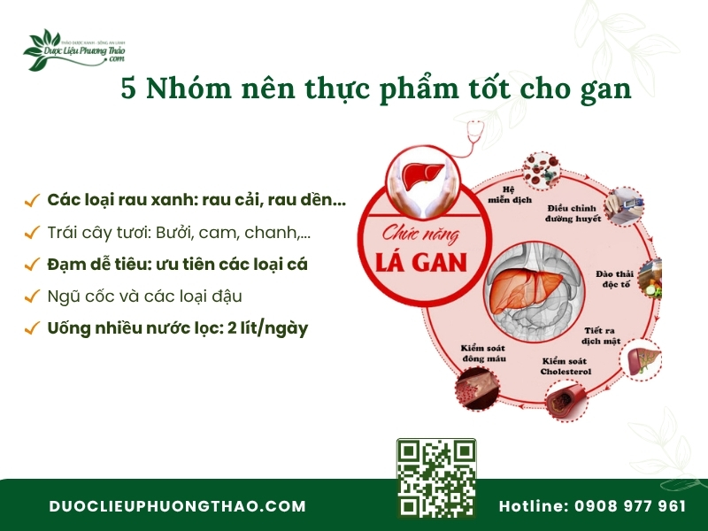 Uống cây an xoa kiêng ăn gì để tránh tác dụng phụ? 5 nhóm thực phẩm giàu dưỡng chất giúp tăng tốc phục hồi chức năng gan.