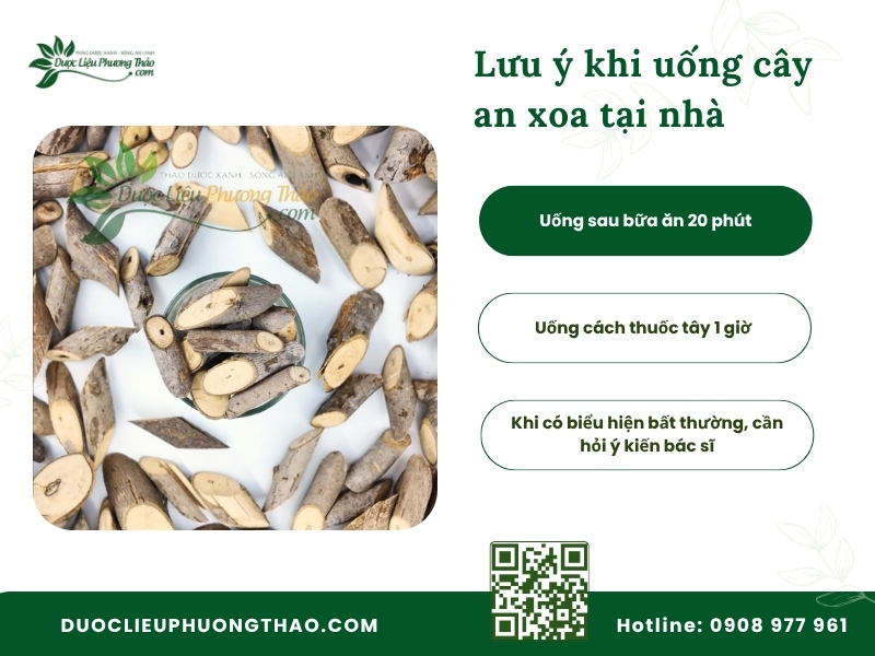 Uống cây an xoa kiêng ăn gì để tránh tác dụng phụ? Lưu ý quan trọng cần nhớ khi uống cây an xoa tại nhà