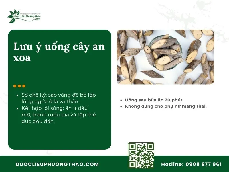 Lưu ý khi dùng cây an xoa chữa bệnh gan nhiễm mỡ