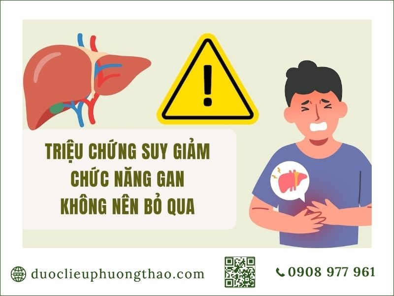 Suy giảm chức năng gan là gì? Có những nguyên nhân, dấu hiệu và cách chăm sóc nào? các triệu chứng suy giảm chức năng gan là gì và cần chú ý theo dõi sớm
